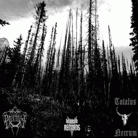 Totalus Necrum : Panzerfaust - Totalus Necrum